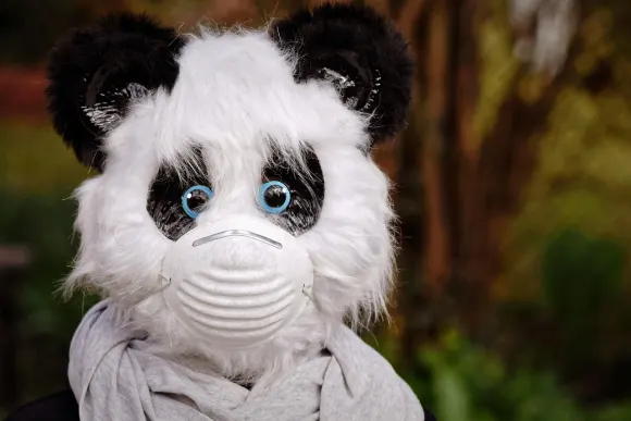 BetOriginal Cazinou Suport